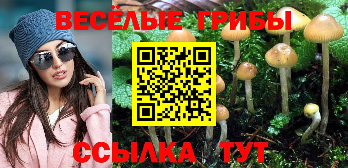 Галлюциногенные грибы ЛСД Каменка