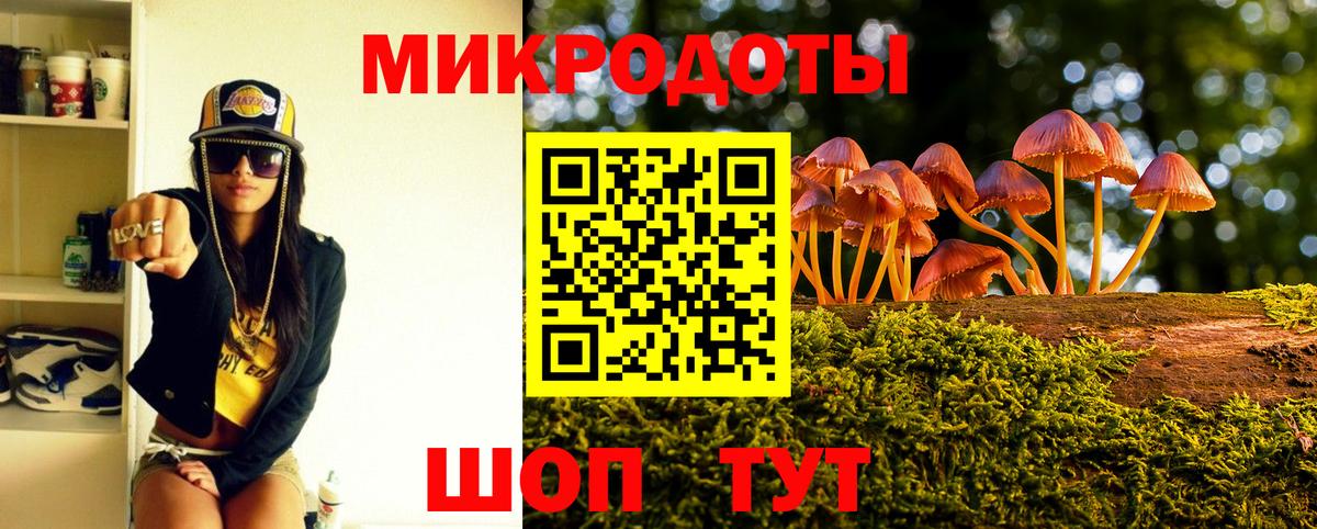 Псилоцибиновые грибы GOLDEN TEACHER  Вход с VPN  Каменка  Псилоцибиновые грибы Cubensis 